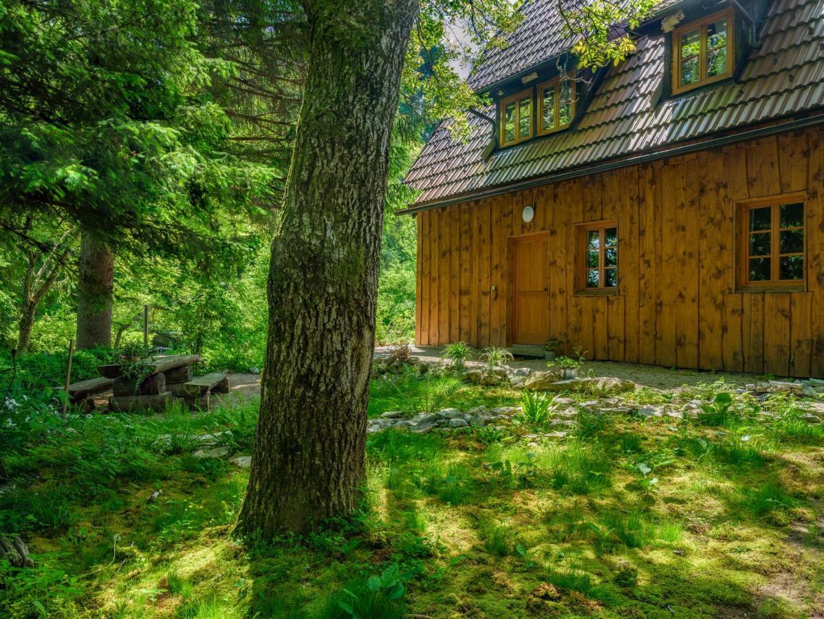 פליטויקה סלו Yeti Cabin מראה חיצוני תמונה