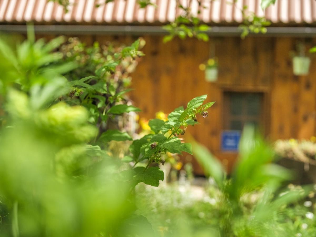 פליטויקה סלו Yeti Cabin מראה חיצוני תמונה